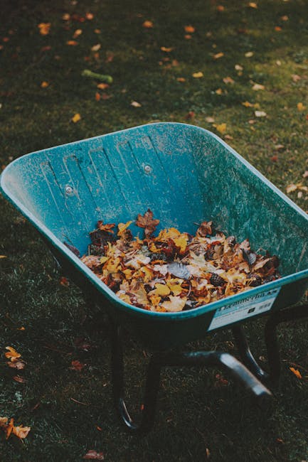 A blue plastic wheelbarrow filled with a mixture of fallen autumn leaves in shades of brown, yellow, and orange, placed on a grassy surface with patches of dark soil visible underneath. The wheelbarrow is positioned outdoors, with a background featuring blurred grass and scattered leaves, suggesting an environment such as a garden or park during the fall season. The handle and supporting legs of the wheelbarrow are visible, made of metal with a black finish. The scene appears to be in natural daylight, highlighting the textures of the leaves and the slightly weathered surface of the wheelbarrow. This image exemplifies equipment often used for garden waste clearance, aligning with services such as private rubbish removal and garden waste disposal.