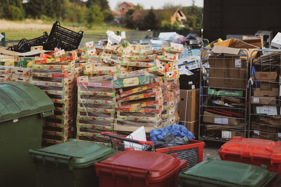 A large outdoor collection of bulk waste and cardboard packaging, primarily consisting of stacked boxes of fresh fruit, with some black plastic crates on top, situated next to various recycling and general waste bins in green, red, and grey colours. The boxes of fruit packaging are made of cardboard with colorful printed labels, and are arranged in multiple stacks, some leaning slightly. To the right, there are metal wire cages filled with miscellaneous items, including brown cardboard boxes and smaller packaged goods, indicating a collection area likely for private rubbish removal or on-site clearance. The background shows a rural environment with trees and a house visible under a bright sky, with natural daylight illuminating the scene and creating clear, distinct shadows. This scene reflects typical arrangements used by independent waste clearance services, such as those offered by companies like Rubbish Clearance Kingston upon Thames, and highlights a mixture of packaging waste and other recyclable materials awaiting disposal.